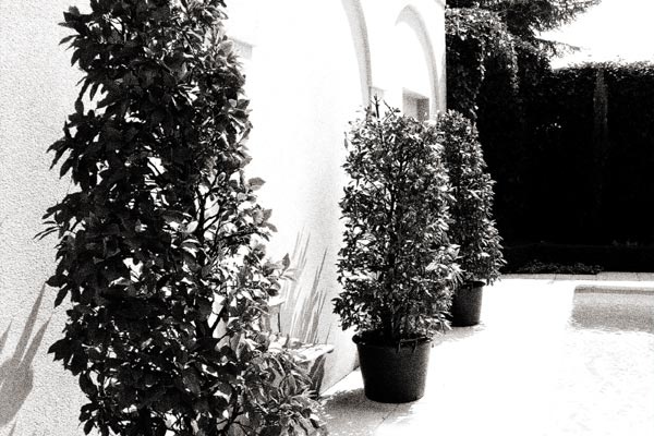 Afbeeldingslocatie: http://www.tweakers.net/ext/f/12654/full.jpg