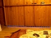 Afbeeldingslocatie: http://www.tweakers.net/ext/f/18875/thumb.jpg