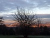 Afbeeldingslocatie: http://www.tweakers.net/ext/f/20569/thumb.jpg