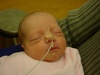 Afbeeldingslocatie: http://www.tweakers.net/ext/f/23051/thumb.jpg