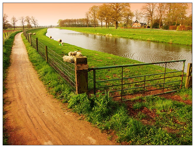 Afbeeldingslocatie: http://www.tweakers.net/ext/f/29826/full.jpg