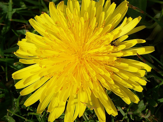 Afbeeldingslocatie: http://www.tweakers.net/ext/f/30054/full.jpg