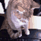 Afbeeldingslocatie: http://www.tweakers.net/ext/f/39042/full.gif