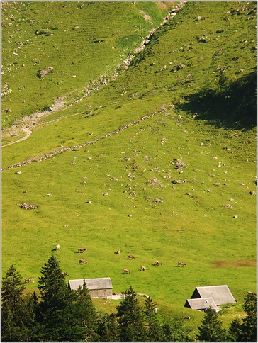 Afbeeldingslocatie: http://www.tweakers.net/ext/f/42646/full.jpg