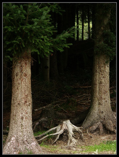 Afbeeldingslocatie: http://www.tweakers.net/ext/f/42659/full.jpg
