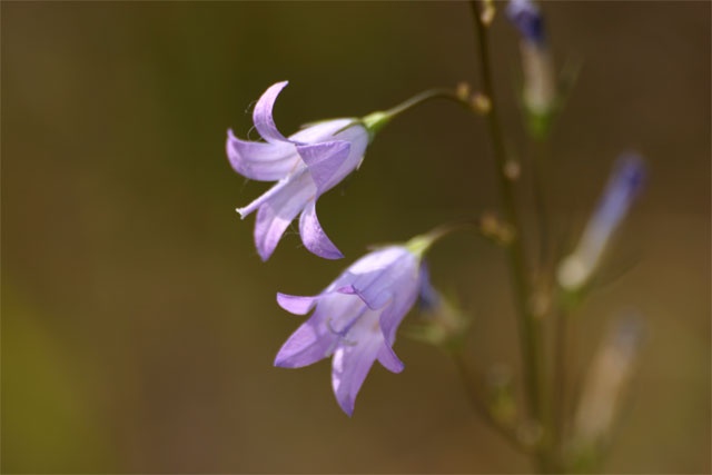 Afbeeldingslocatie: http://www.tweakers.net/ext/f/42680/full.jpg