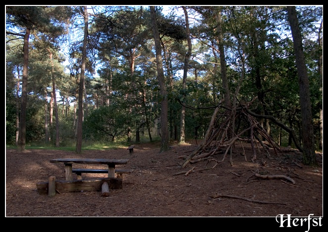 Afbeeldingslocatie: http://www.tweakers.net/ext/f/43012/full.jpg