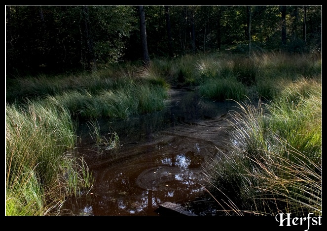 Afbeeldingslocatie: http://www.tweakers.net/ext/f/43023/full.jpg