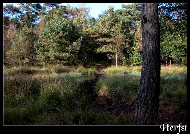 Afbeeldingslocatie: http://www.tweakers.net/ext/f/43024/full.jpg