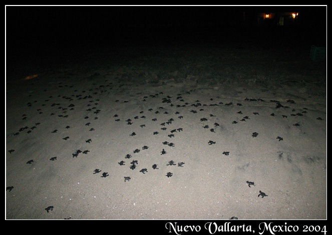 Afbeeldingslocatie: http://www.tweakers.net/ext/f/43404/full.jpg