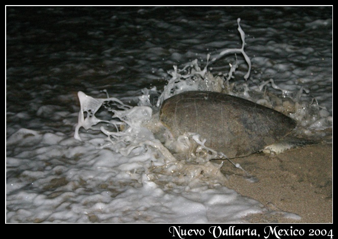 Afbeeldingslocatie: http://www.tweakers.net/ext/f/43405/full.jpg