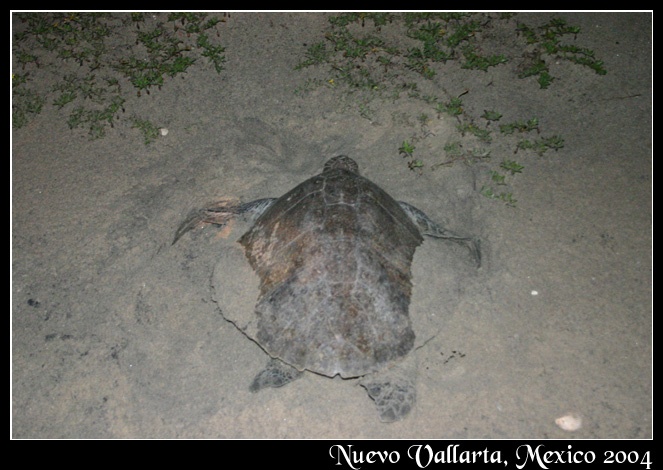 Afbeeldingslocatie: http://www.tweakers.net/ext/f/43406/full.jpg