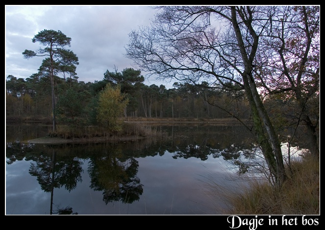 Afbeeldingslocatie: http://www.tweakers.net/ext/f/44766/full.jpg