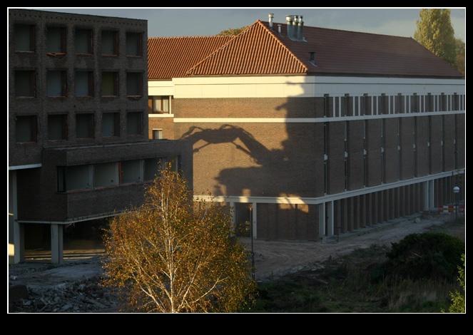 Afbeeldingslocatie: http://www.tweakers.net/ext/f/44877/full.jpg