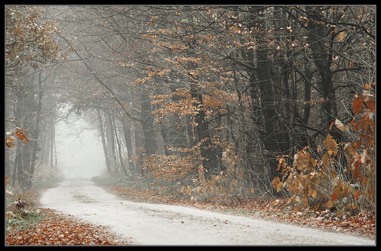 Afbeeldingslocatie: http://www.tweakers.net/ext/f/46299/full.jpg