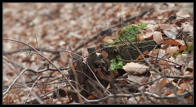 Afbeeldingslocatie: http://www.tweakers.net/ext/f/46300/full.jpg