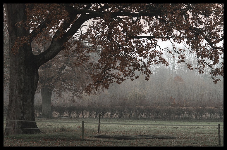 Afbeeldingslocatie: http://www.tweakers.net/ext/f/46304/full.jpg