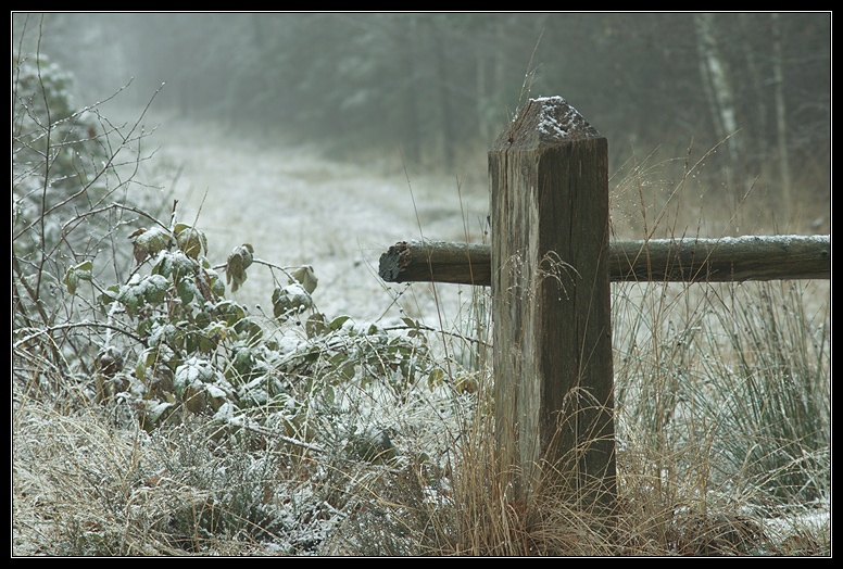 Afbeeldingslocatie: http://www.tweakers.net/ext/f/46401/full.jpg