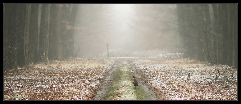 Afbeeldingslocatie: http://www.tweakers.net/ext/f/46405/full.jpg