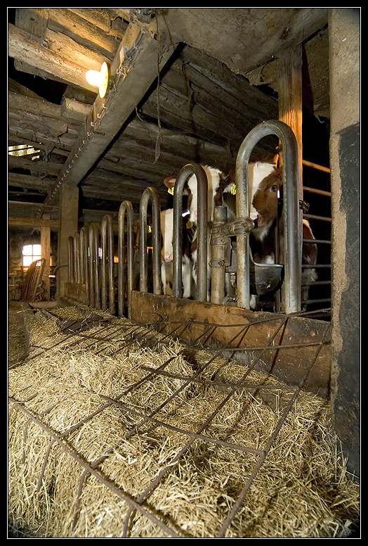 Afbeeldingslocatie: http://www.tweakers.net/ext/f/47487/full.jpg