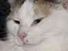 Afbeeldingslocatie: http://www.tweakers.net/ext/f/47597/thumb.png