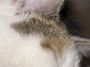 Afbeeldingslocatie: http://www.tweakers.net/ext/f/47600/thumb.png