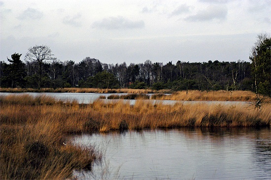 Afbeeldingslocatie: http://www.tweakers.net/ext/f/50315/full.jpg