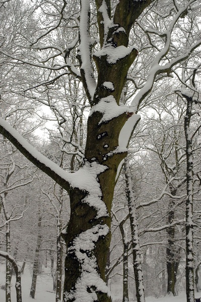 Afbeeldingslocatie: http://www.tweakers.net/ext/f/53059/full.jpg