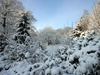 Afbeeldingslocatie: http://www.tweakers.net/ext/f/53323/thumb.jpg