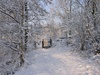 Afbeeldingslocatie: http://www.tweakers.net/ext/f/53325/thumb.jpg