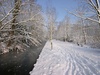 Afbeeldingslocatie: http://www.tweakers.net/ext/f/53327/thumb.jpg