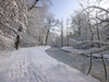 Afbeeldingslocatie: http://www.tweakers.net/ext/f/53328/thumb.jpg
