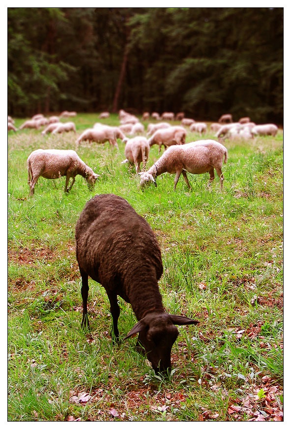 Afbeeldingslocatie: http://www.tweakers.net/ext/f/62714/full.jpg